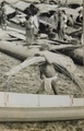 dscn5190.jpg
