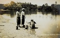 dscn5228.jpg