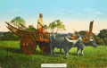 dscn5097.jpg