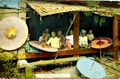 dscn5103.jpg