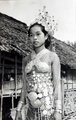 dscn5143.jpg