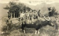 dscn5070.jpg