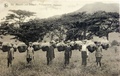 dscn5079.jpg