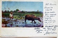 dscn5083.jpg
