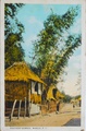 dscn5084.jpg
