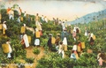 dscn5266.jpg