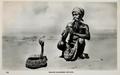 dscn5278.jpg