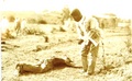 dscn5284.jpg