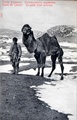 dscn5913.jpg
