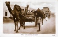 dscn5914.jpg