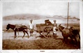 dscn5918.jpg