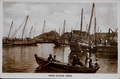 dscn5919.jpg