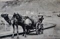 dscn5929.jpg