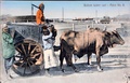 dscn5933.jpg