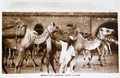 dscn5939.jpg
