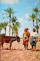 dscn5940.jpg
