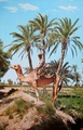 dscn5948.jpg