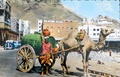 dscn5953.jpg