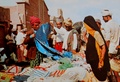 dscn5956.jpg