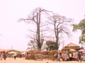 pict0005.jpg