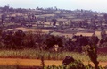 fields_and_hills_3.jpg