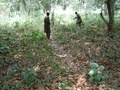 dsc01045.jpg