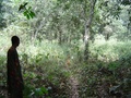 dsc01046.jpg