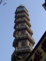dsc00696.jpg