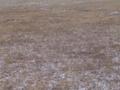dsc00702.jpg
