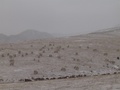 dsc00704.jpg