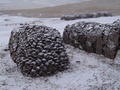 dsc00706.jpg