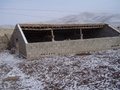 dsc00707.jpg