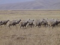 dsc00708.jpg