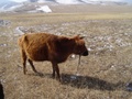 dsc00714.jpg