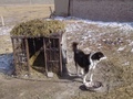 dsc00716.jpg