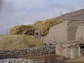 dsc00732.jpg