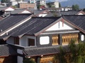 dsc00649.jpg