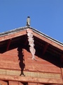 dsc00651.jpg