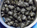 pc190126.jpg