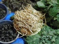 pc190133.jpg