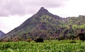 pict0083.jpg