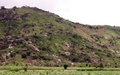 pict0085.jpg