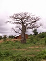 pict0116.jpg