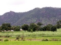 pict0117.jpg
