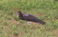 pict0121.jpg