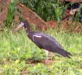 pict0123.jpg