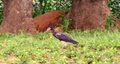 pict0124.jpg