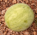 pict0135.jpg