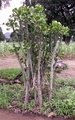 pict0137.jpg