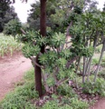 pict0138.jpg